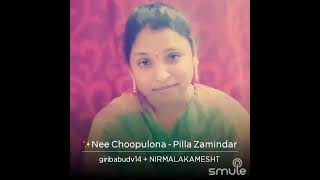 Nee chupulona Pilla Zamindar