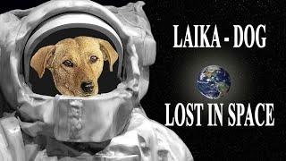 The story of laika। কাঁদতে বাধ্য হবেন প্রথম মহাকাশচারী লাইকার সাথে কি হয়েছিল জেনে।