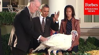 THANKSGIVING FLASHBACK: Watch All Of President Obama's Presidential Turkey Pardons