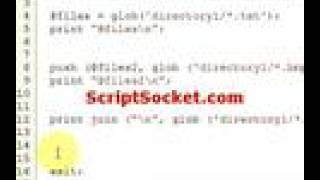 Perl Tutorial 30 - Glob Function