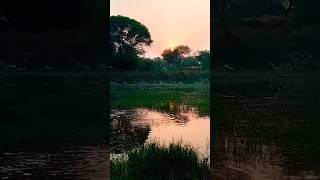 Village Evening View ❤️#matanhail #shortfeed #ytshots