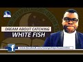 Dream About Catching White Fish - Evangelist Joshua Orekhie