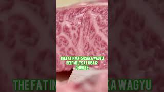 Matsusaka Wagyu aka the most expensive beef 🥩 in the world. #meat   #wagyu #fast