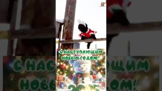 С Наступающим Новым годом Ребята ❄️🎄🎅⛄️🐈‍⬛