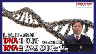 [써모피셔 일타강의] DNA가 아니라 RNA를 읽으면 벌어지는 일들