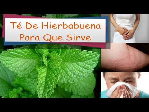 Te De Hierbabuena Para Que Sirve: Beneficios Del Te De Hierbabuena ...