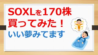 SOXLここから上昇か？　170株買った理由【有村ポウの資産運用】24108