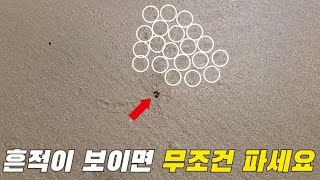 모래사장에 이런 구멍과 흔적을 본적이 있다면 무조건 파세요! +먹방