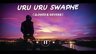 URU URU SWAPNE EK RAJKONYA (উড়ু উড়ু স্বপ্নে এক রাজকন্যে)Lofi Remix song (Slowed+Reverb)#musiclofi