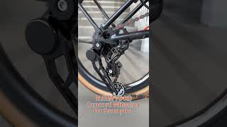 RUHM 7S RD Suncord Wheelset for Brompton