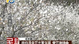 民議新聞 1031223 南投溫泉花卉嘉年華 賞花邀請會