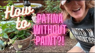 Container Gardening : How to Patina your pots...with corn starch!