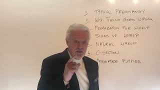 Secrets to Timing Whelp. Don't make a huge mistake!