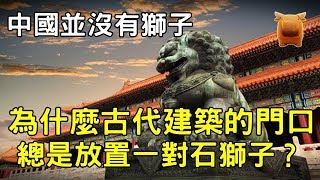 中國並沒有獅子，為什麼古代建築的門口，總是放置一對石獅子？【楓牛愛世界】