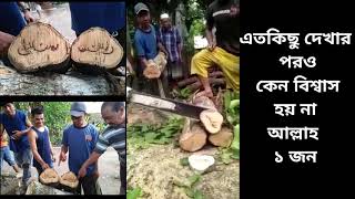 গাছের ভিতর আল্লাহর নাম || সকল সৃষ্টির মালিক একমাত্র আল্লাহর নাম || রঙধনু টিভি