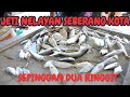 Ikan sepinggan bermula dengan Dua ringgit. Jeti Nelayan Seberang Kota, Kuala Kedah. Segar dan murah.