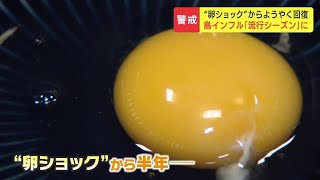 鳥インフルによる“卵ショック”から半年、ようやく見えた出口に再流行の兆し…養鶏場の対策コストは億単位も、求められる政府の対応