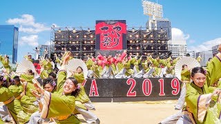 [4K] 神戸学生よさこいチーム湊　こいや祭り 2019 2日目