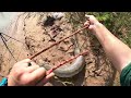 Giant Bullfrogs for Bait Catch Monster Fish