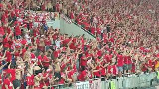 fehervar fc - 1.FC Köln Fans