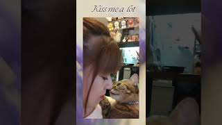 猫からの熱いキスに唇が！！！  a hot kiss from a cat　                 #shorts #cat #cute＃pets＃保護猫＃猫#ai #chacha