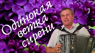 A single branch of lilac (the smell of lilac floated through the city). Takes Ivan Chelyanov.