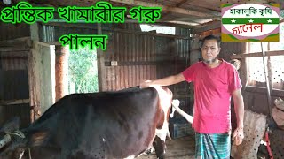 অজো পাড়া গ্রামে প্রান্তিক খামারির গরুর খামার#cowfarminvillage#হাকালুকি কৃষি চ্যানেল