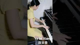 夜來香ye lai xiang #piano #music