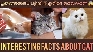 Top-15 cats facts in Tamil|பூனைகளைப் பற்றி 15 ருசிகர தகவல்கள்|Milli Minutes