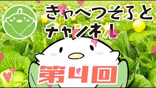 【第4回】きゃべつそふとチャンネル【発売日きゃべーっ！】