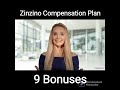 zinzino compensation plan 9 bonuses