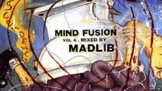 Madlib - Nas vs Jay-z Pt. 1 Mind Fusion Volume  4