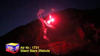 1731 Silent Stars 25 shots