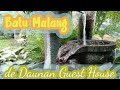 DE'DAUNAN GUEST HOUSE BATU MALANG #HiddenGem #batu