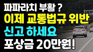 파파라치 부활? 이렇게 운전하면 당장 신고하세요! 포상금 20만원 받으세요.