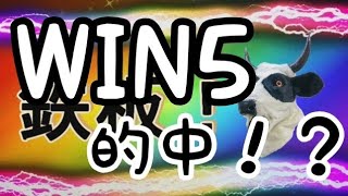 2019.10.21　暴れ牛の競馬BEEF　ウインファイブで億獲得！？