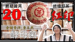 【艾洱森‧普洱茶藝】《終結普洱_終極好茶》第20集  : 倉儲普洱_重自然