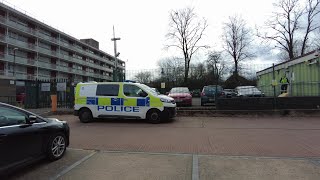 We Have Had The Resident Cat For Years! 🐈🥘😲