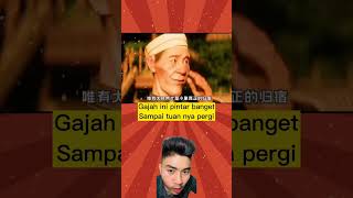 Kisah sedih gajah yang ditinggal tuan nya🐘🐘 #like #reaction #movie #shortvideo #video #youtube