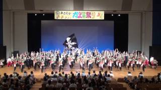 神戸学生よさこいチーム湊 2016かえる祭り