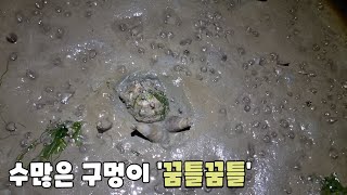 물빠진 갯벌에 꼭 있는 구멍?! 주변에 대박이 숨어있어요 +먹방