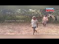 herd of wild elephants destroys crops in puri s kanas