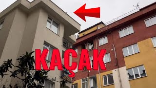 Bölük Kaçak Güvercin Getirdi ( Paçalı Mavi )