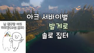 아크 서바이벌 발게로 솔로 집터