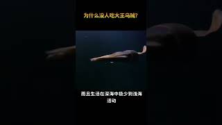 为什么没人敢吃大王乌贼？