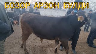 БГДОД ЧОРВА БОЗОРИ БУКАЛАР НАРХИ.