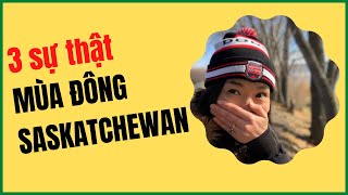 3 SỰ THẬT ít người biết về  Mùa Đông ở Saskatchewan Canada   #shorts