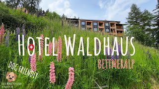 Find Your Zen At The Hotel Waldhaus Bettmeralp Switzerland 4k