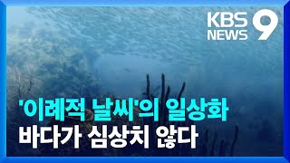 이례적 날씨가 ‘일상’…바다가 심상치 않다 - 주말엔 전문K [9시 뉴스] / KBS  2023.05.06.