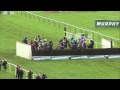 2014 Paddy Power Gold Cup - Caid Du Berlais - Racing TV